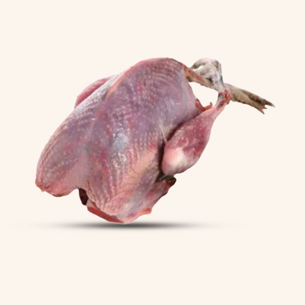 Pigeon meat skin on-চামড়াসহ কবুতরের বাচ্চা। প্রতি পিসে ১৫০গ্রাম+