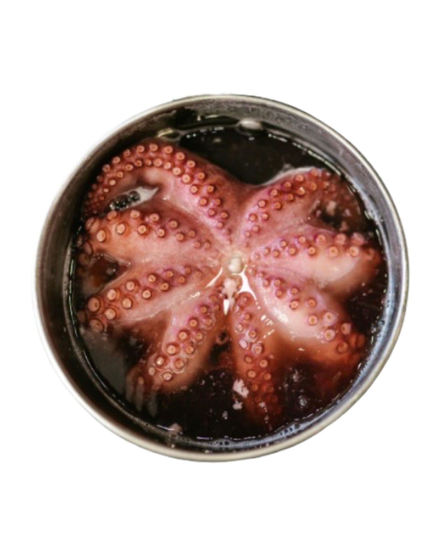 Octopus-অক্টোপাস। প্রতি কেজিতে ২/৩ পিস।