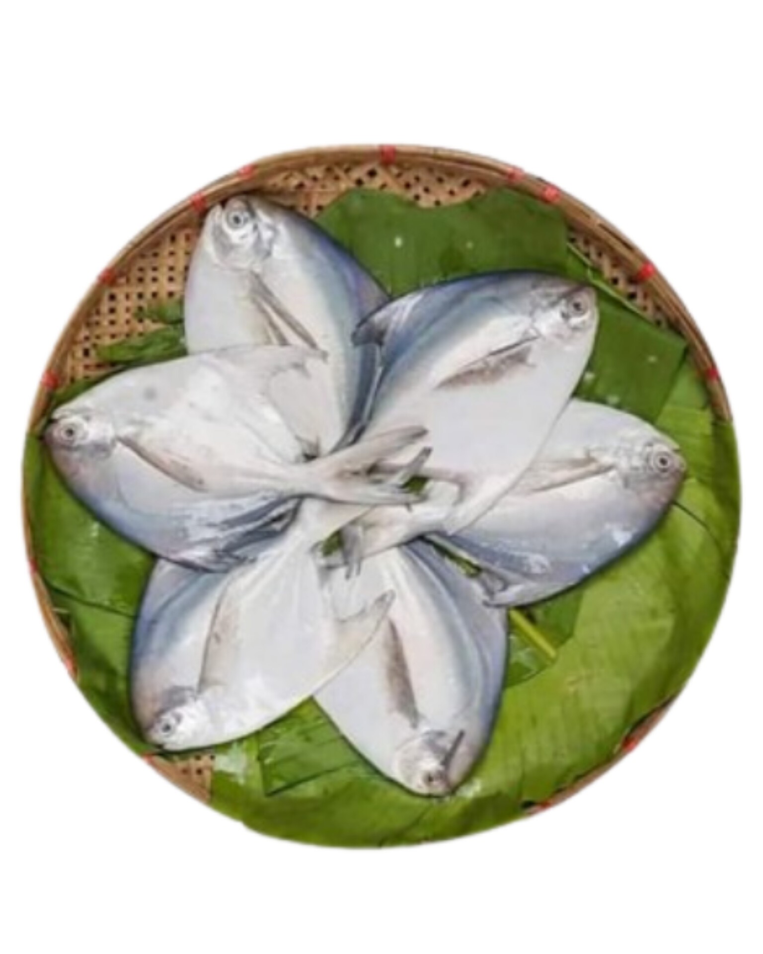 Rupchanda-রুপ চাঁদা। প্রতি কেজিতে ১২পিস।